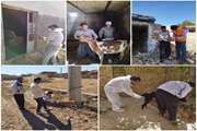 خدمات رسانی به مناطق کمتر برخوردار شهرستان آوج
